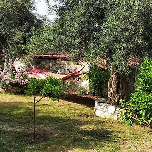filoxenia-wooden-rooms.albaniahotels.org/